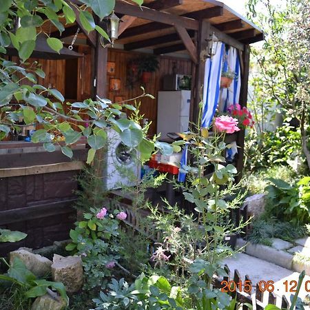 U Palycha Guest House スフミ エクステリア 写真
