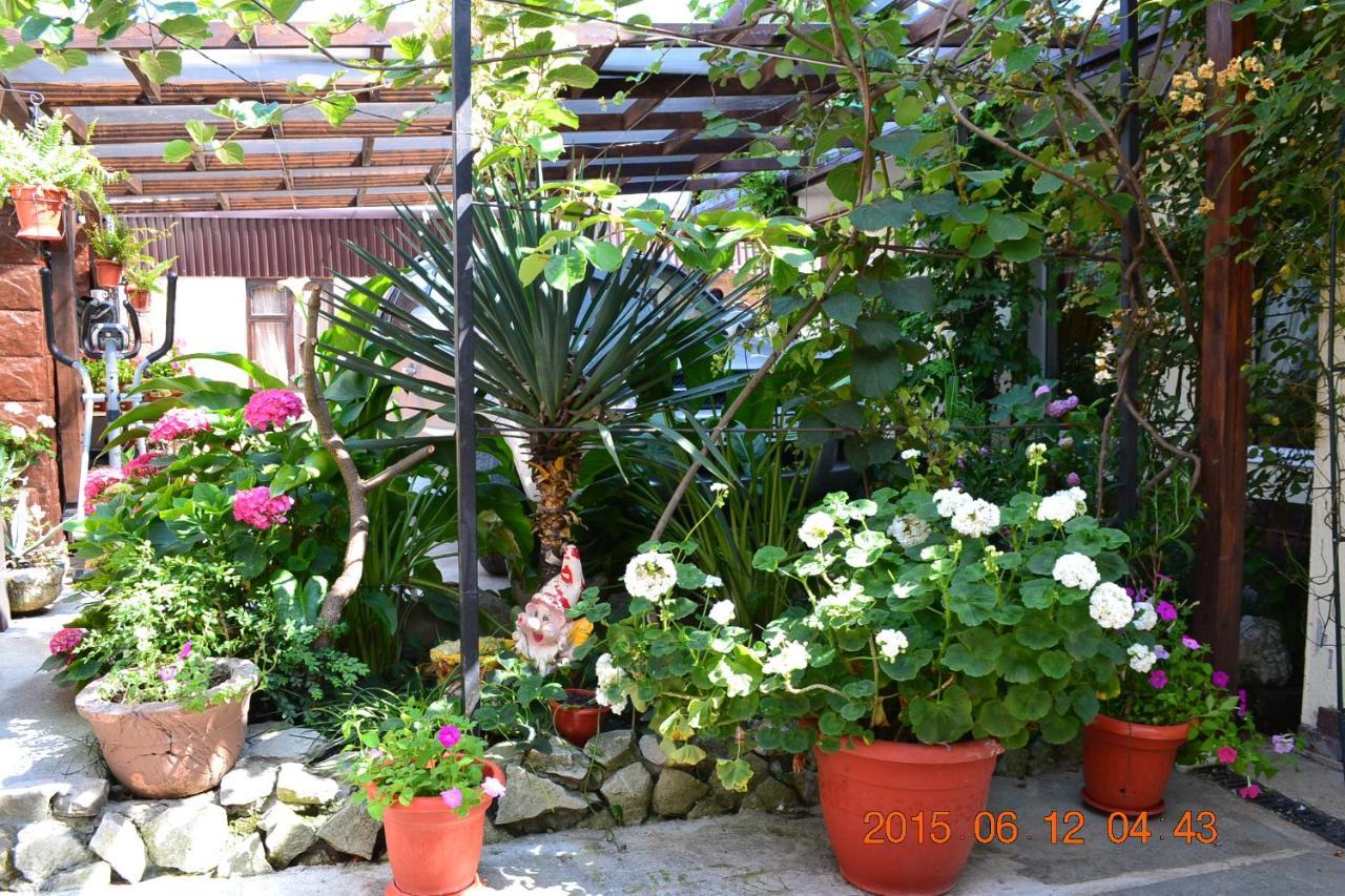 U Palycha Guest House スフミ エクステリア 写真