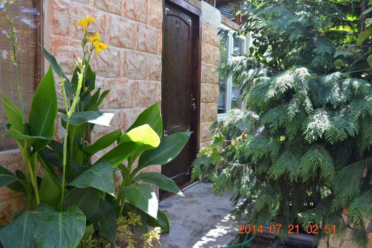 U Palycha Guest House スフミ エクステリア 写真